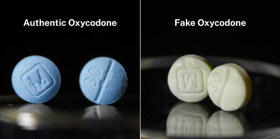 Authentic vs Fake Oxycodone Tablets