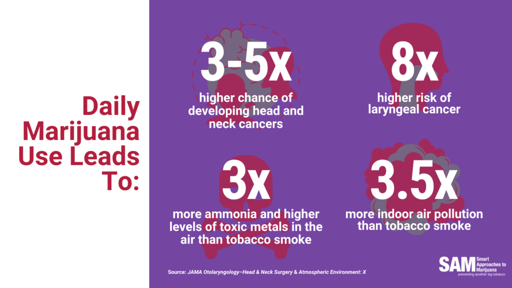 Daily marijuana use risks