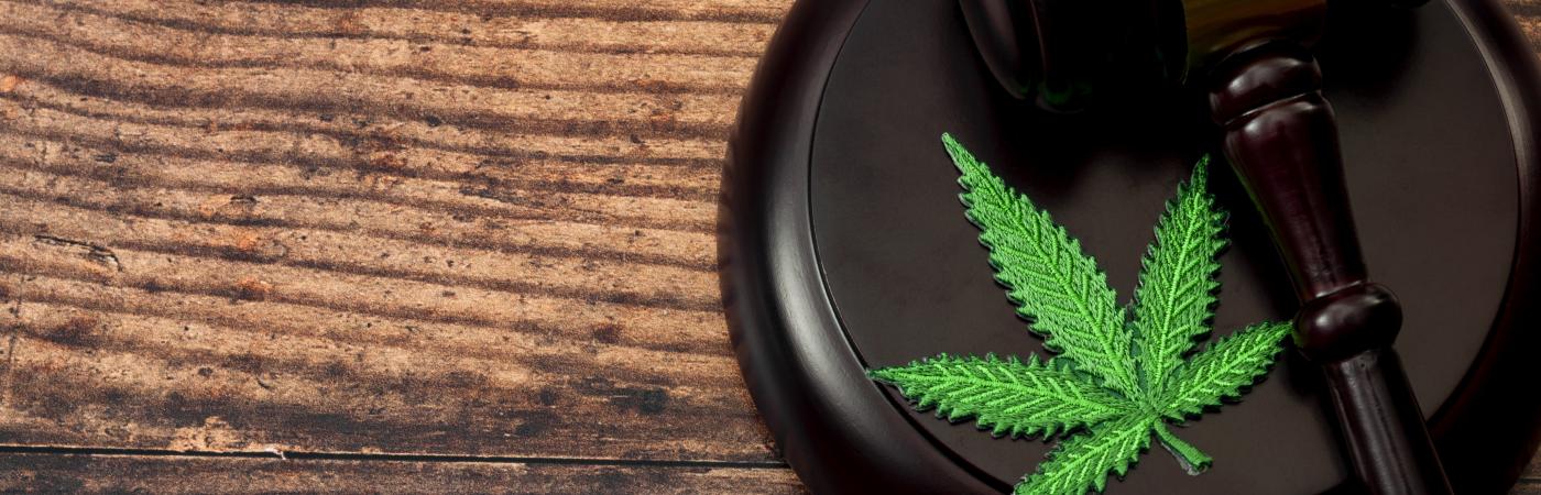 gavel next to marijuana leaf