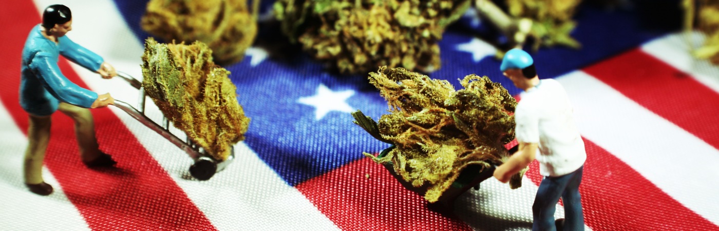 Marijuana and American Flag