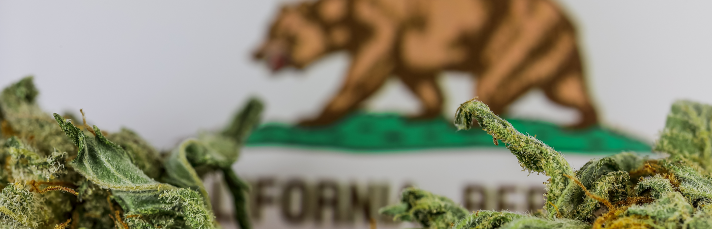 Marijuana and California