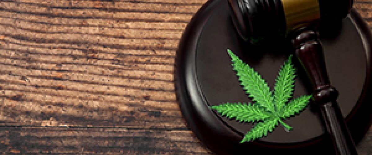 marijuana leaf and gavel