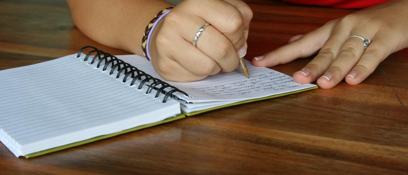 person writing in journal