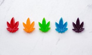 Marijuana gummies