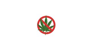 Reject marijuana