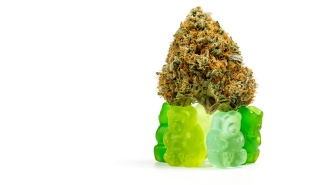 Marijuana gummies