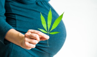 Pregnant woman with marijuana