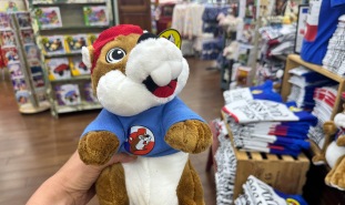 Buc-ee beaver stuffed animal