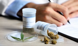 Doctor prescribing cannabis