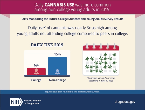 MTF graphic ; Daily cannabis use among college aged students